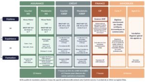 MEMO CAPACITE PROFESSIONNELLE - CNCEF V2