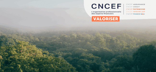 Visuel site internet - Regards croisés des Présidents d’associations de la CNCEF sur l'économie durable - Les rencontres de l’Académie de l’économie durable Juillet 2025 - Visuel article site inte