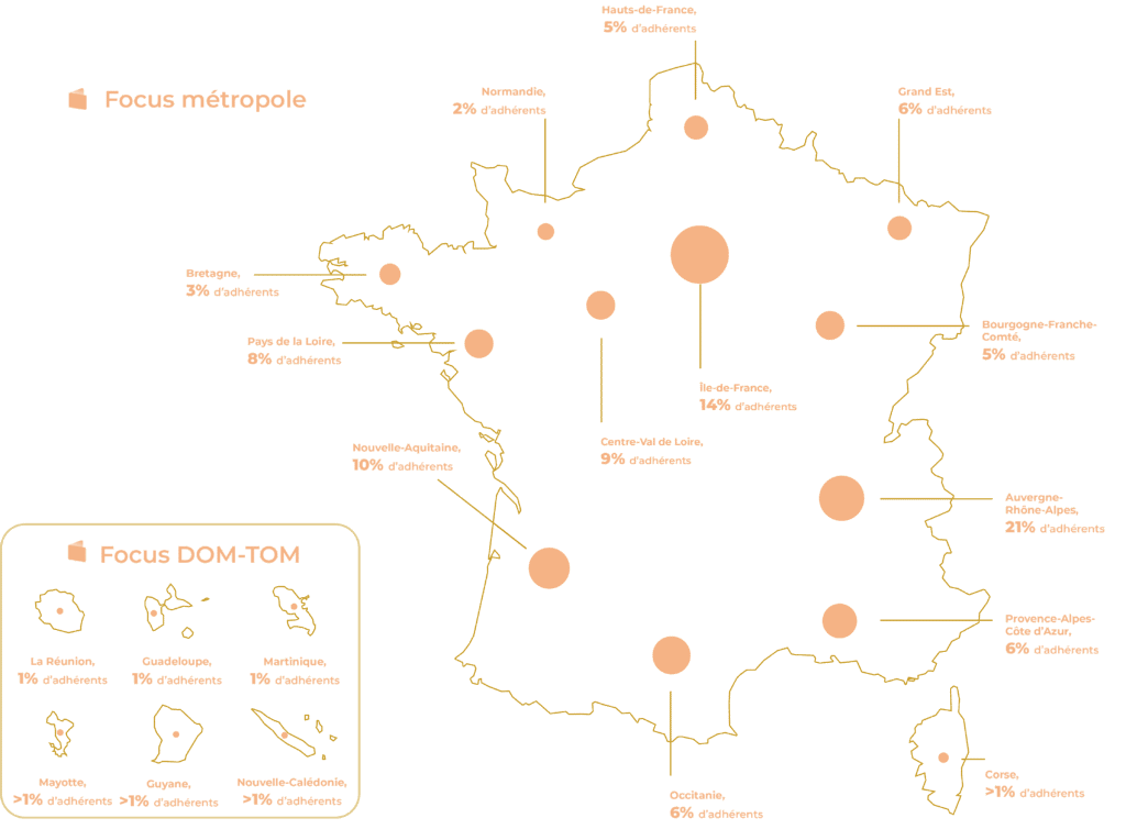 focus cncef immobilier expert en immobilier patrimonial 2025