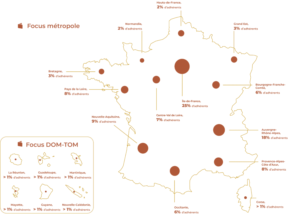 focus cncef patrimoine conseiller en investissements financiers CIF agrément AMF 2025