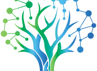 SYNAPSE CONSEILS