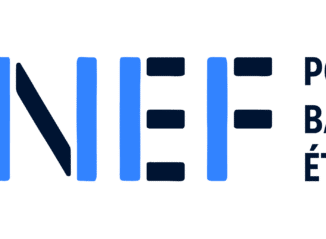 SOCIETE FINANCIERE DE LA NEF